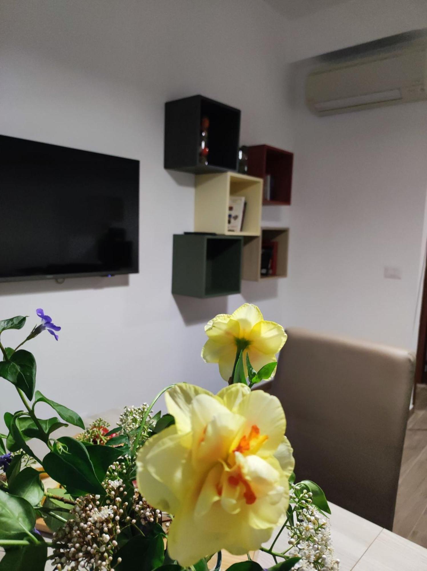 Consoli Home Rome Extérieur photo